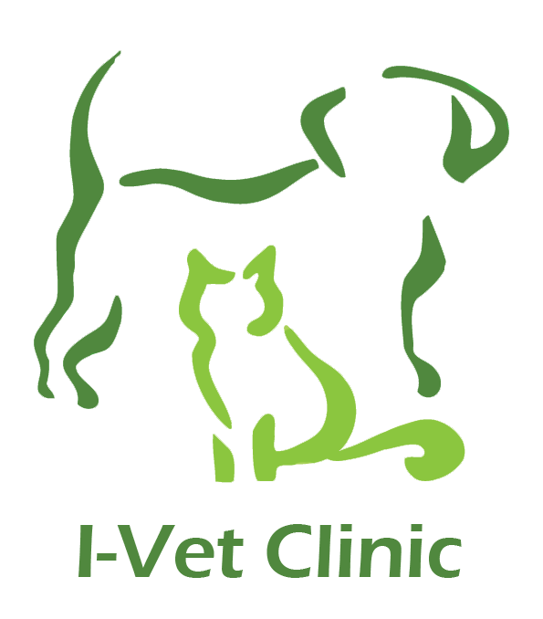 I-Vet Clinic