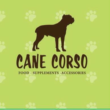 Cane Corso