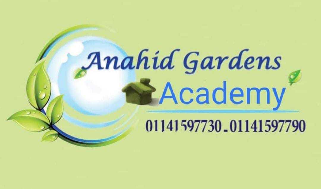 Anahid Academy
