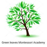 Green leaves Montessori academy