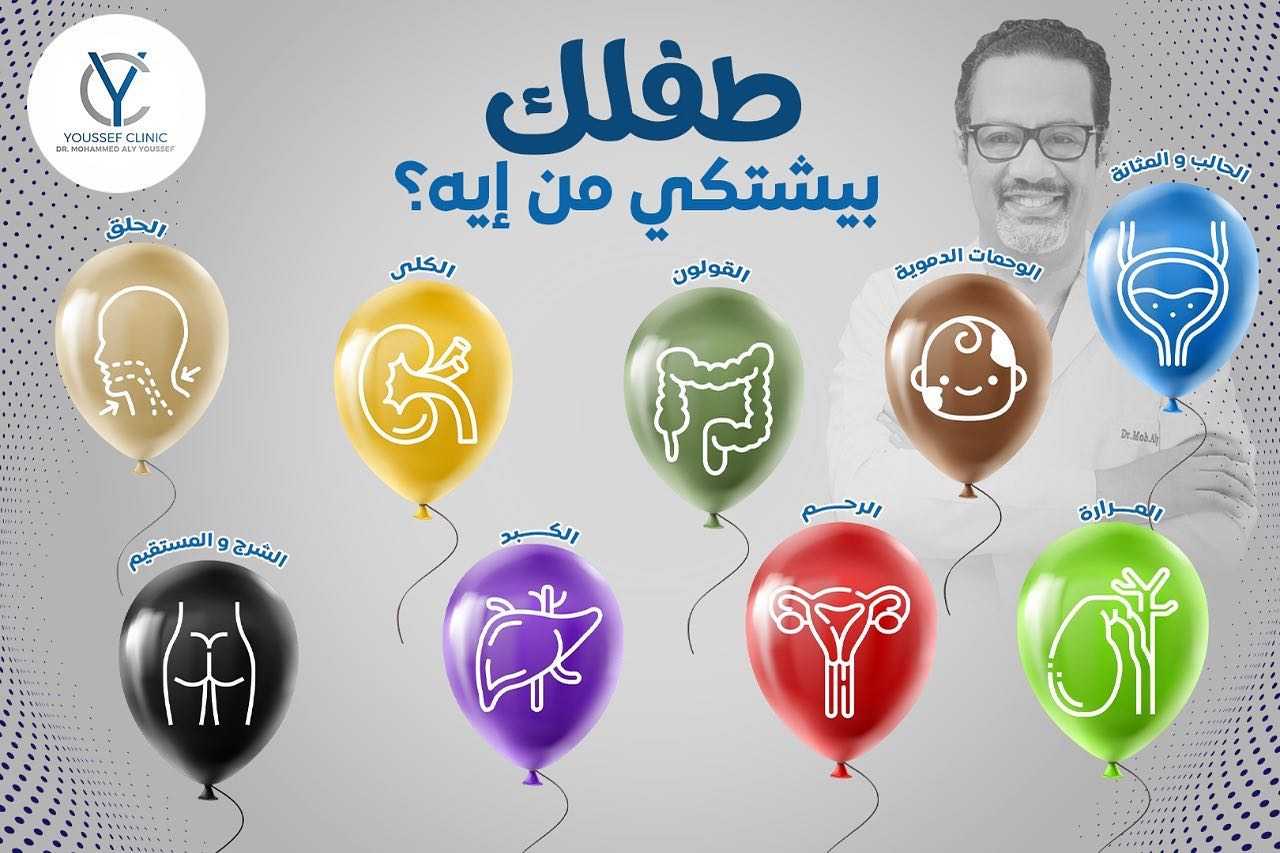 د/ أميرة رمضان