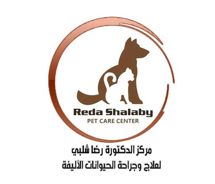 Dr.Reda Shalaby