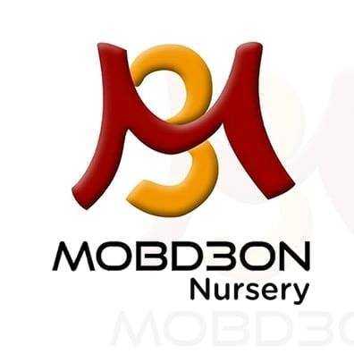 Mobd3on Academy & Nursery
