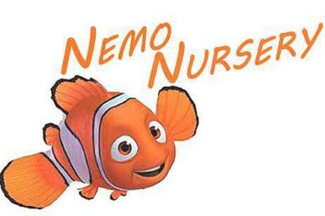 Nemo Nursery