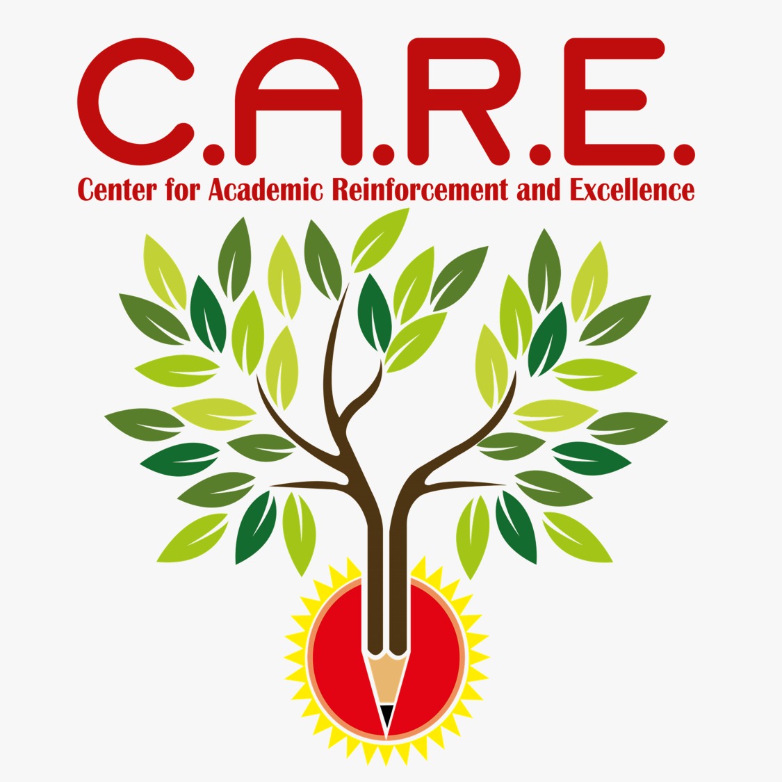 Care Academy