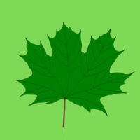 Green leaf nursary school