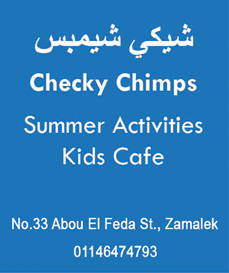 Checky Chimps Summer Activities 