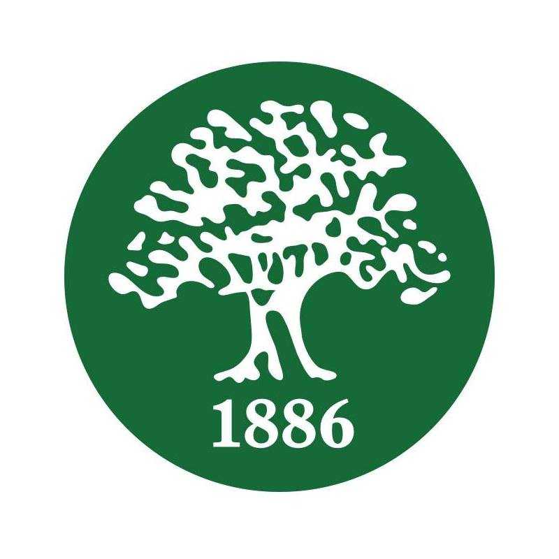 69413523_2346949915565520_6798518971382366208_n.jpg