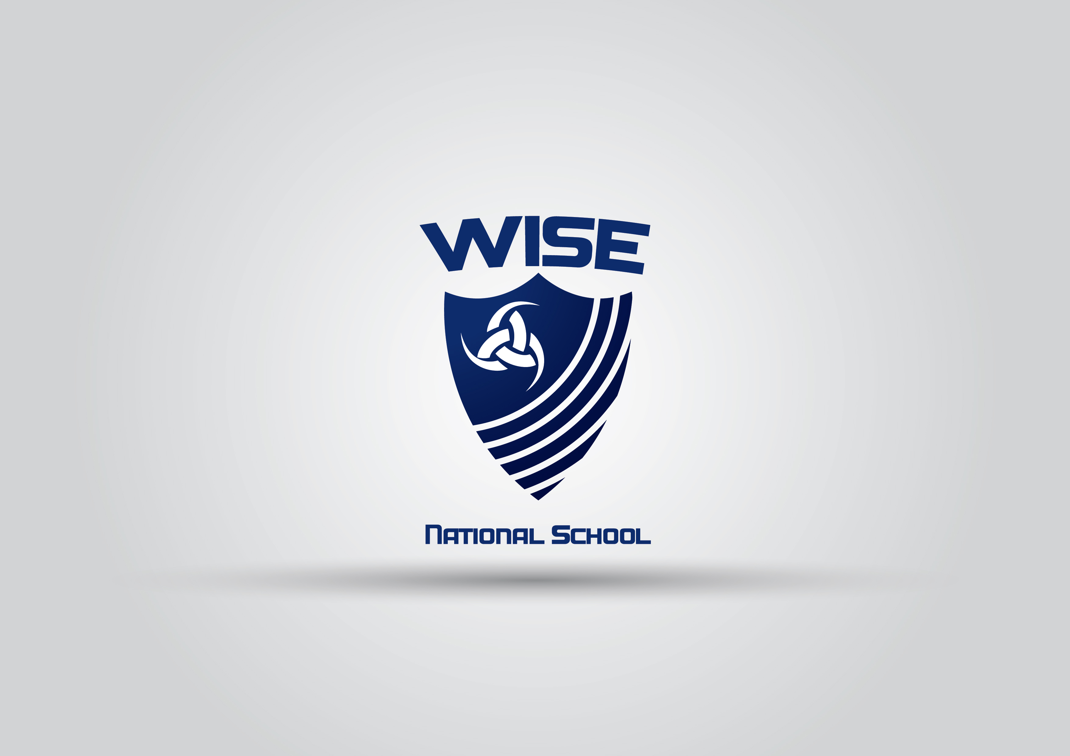 Wise National School of Egypt
