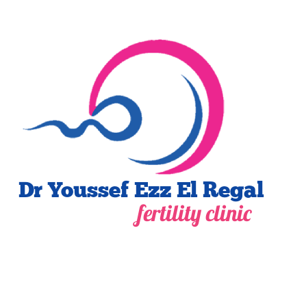 Dr. Youssef Ezz Al-Rijal