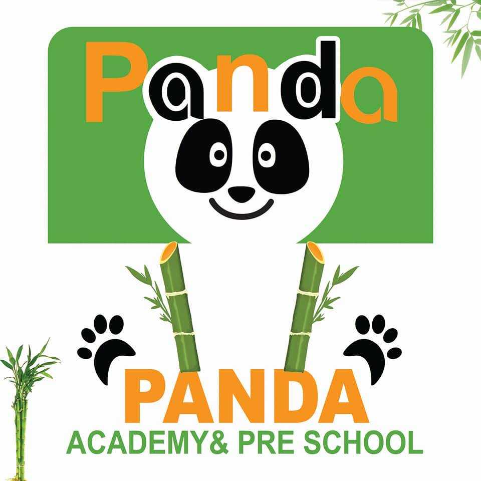 Panda Academy